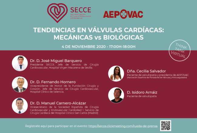think tank virtual valvulas cardiacas